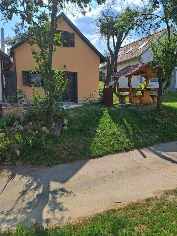 Macskajaj Vendeghaz Villa Mecseknadasd Exterior photo