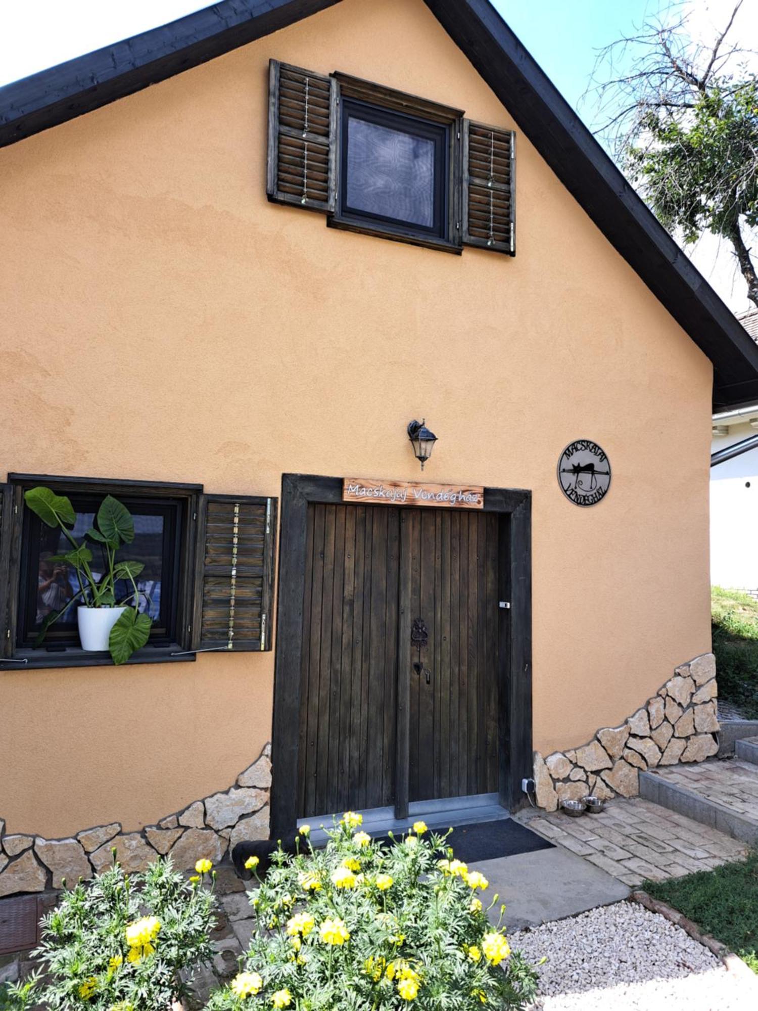 Macskajaj Vendeghaz Villa Mecseknadasd Exterior photo